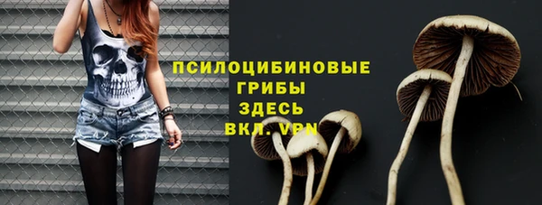 соль курить ск Алексин