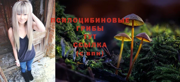 соль курить ск Алексин