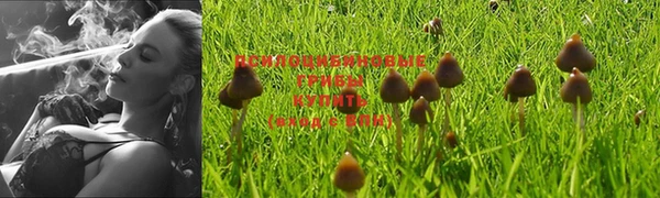 соль курить ск Алексин