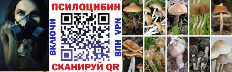 Псилоцибиновые грибы MAGIC MUSHROOMS  площадка наркотические препараты  Кыштым 